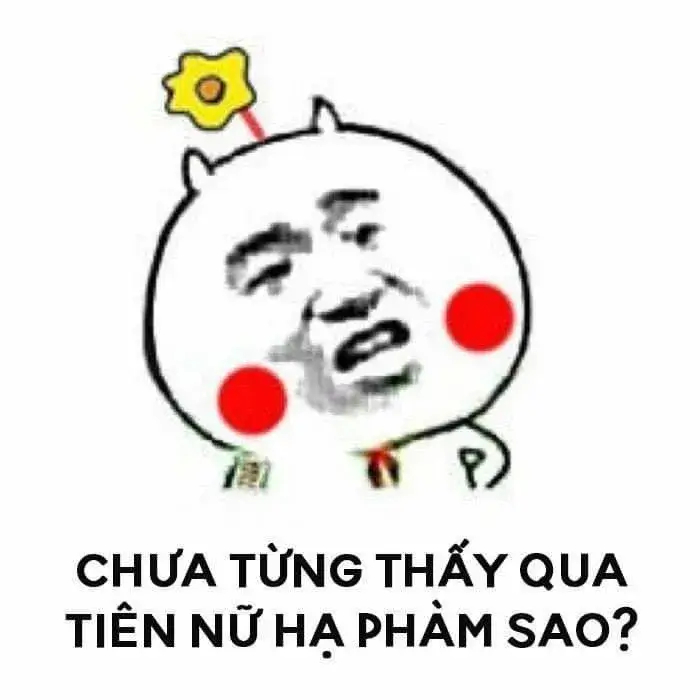 Gấu trúc tinh nghịch: Chưa thấy tiên nữ hạ phàm sao?