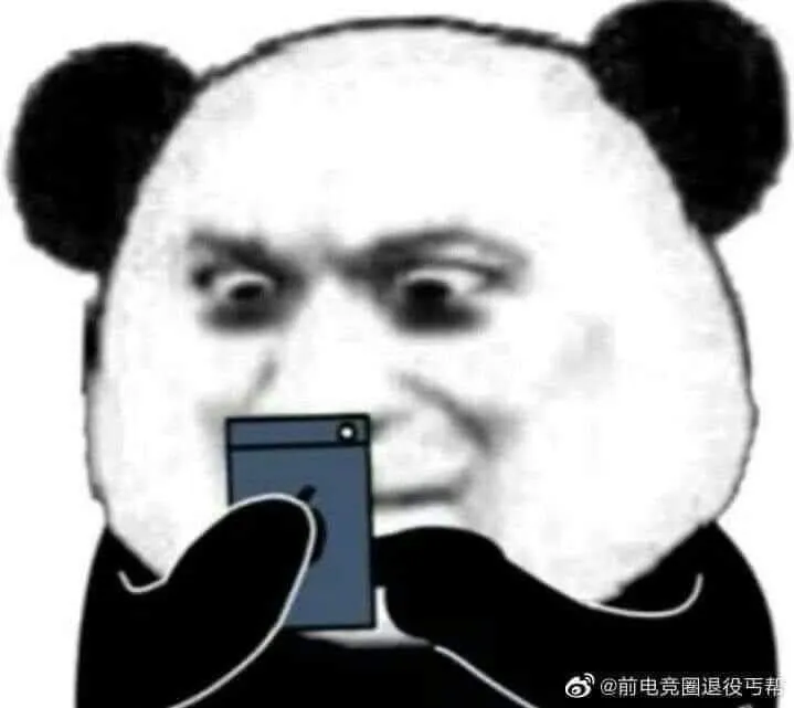 Gấu trúc biểu cảm nhìn điện thoại ngạc nhiên