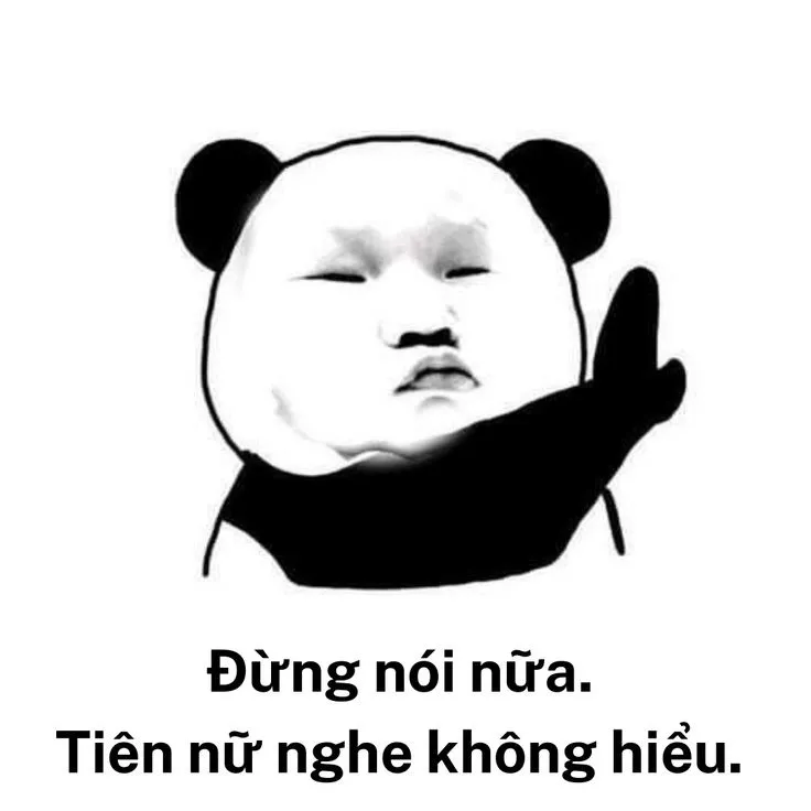 Hình gấu trúc lầy lội: Đừng nói nữa, nghe không hiểu