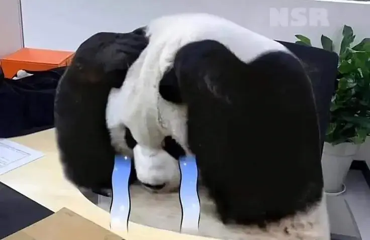 Tổng hợp Meme Gấu Trúc Khóc với nhiều sắc thái từ tủi thân đến châm biếm