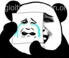 Hình gấu trúc khóc đau khổ nhìn cực tội nghiệp.