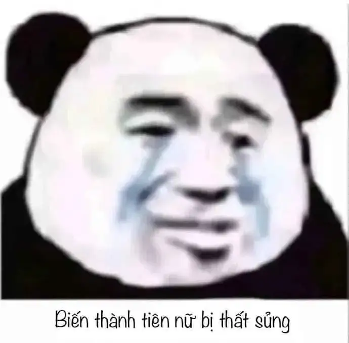Meme gấu trúc khóc lóc đầy đau thương