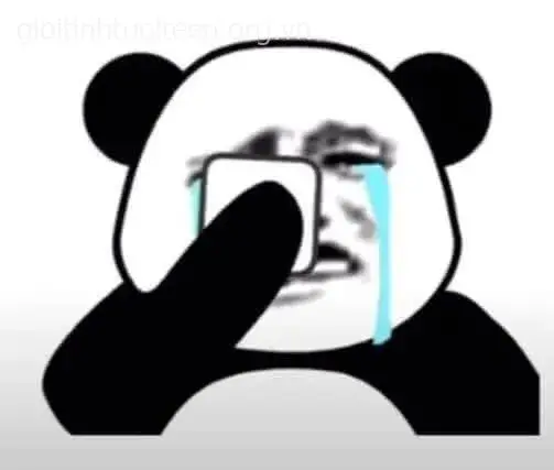 Meme gấu trúc khóc thét với đôi mắt đỏ hoe.