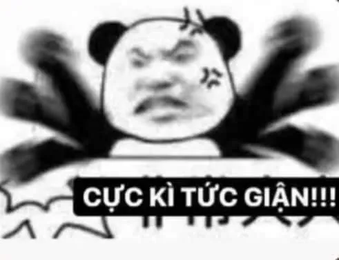 Biểu cảm gấu trúc bực bội, gương mặt cau có nghiêm trọng. Biểu cảm gấu trúc bực bội, gương mặt cau có nghiêm trọng.