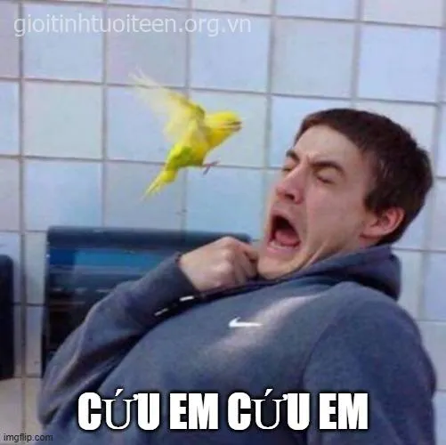 Meme bàng hoàng hài hước khiến ai thích