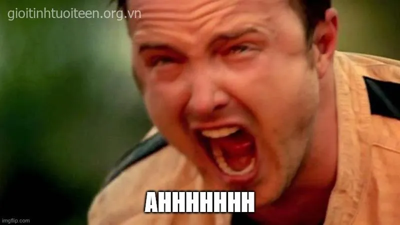 Biểu cảm hoảng loạn cực ngáo bá đạo