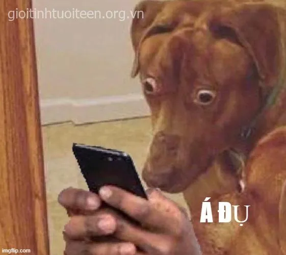 Ảnh chế sợ hãi ngộ nghĩnh lan truyền