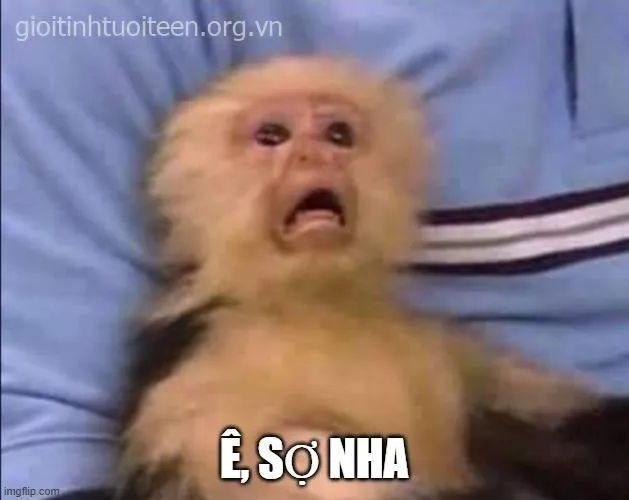 Ảnh chế hoảng hốt dễ thương cực hot