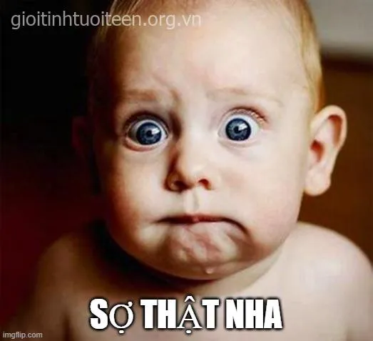 Meme kinh hãi dí dỏm khiến ai phì cười