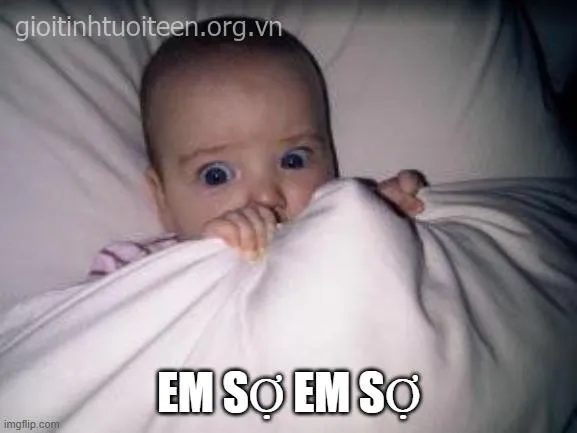 Ảnh chế lo sợ cực lầy siêu hot