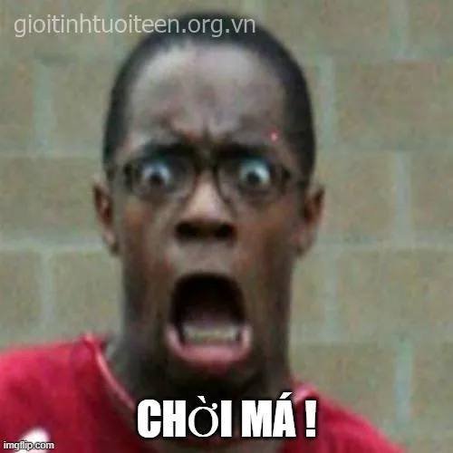 Meme hoảng hốt dễ thương siêu hài hước