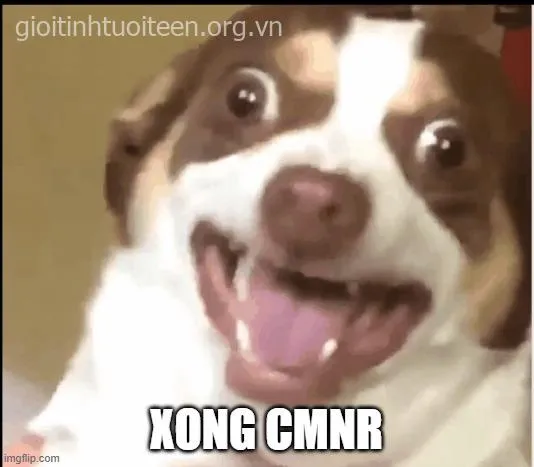 Meme lo sợ dí dỏm cực dễ thương