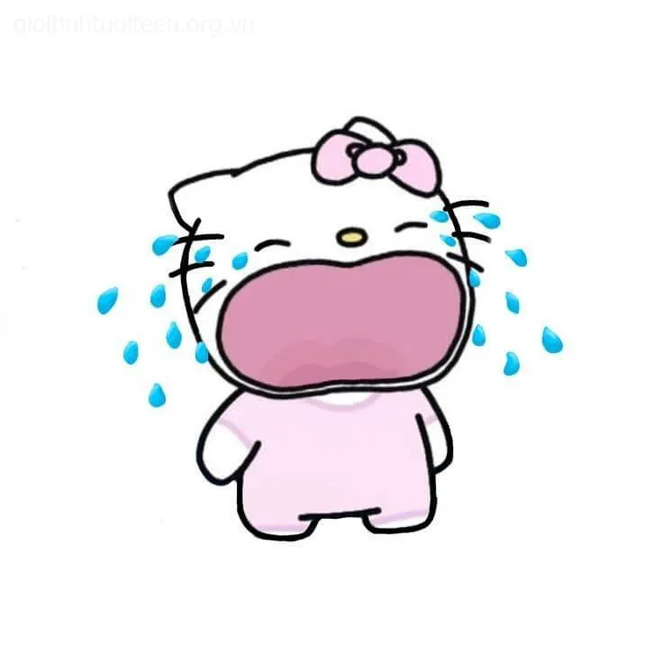 Meme gào khóc trông cực lố bịch, khiến người xem bật cười.
