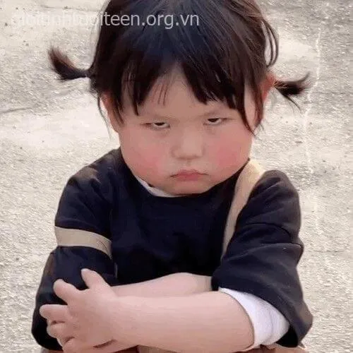 Meme rơi nước mắt chan chứa bi ai nhưng vẫn hài.