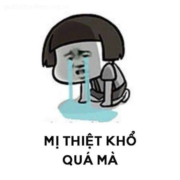 Meme khóc không thành tiếng, ánh mắt nhìn xa xăm.