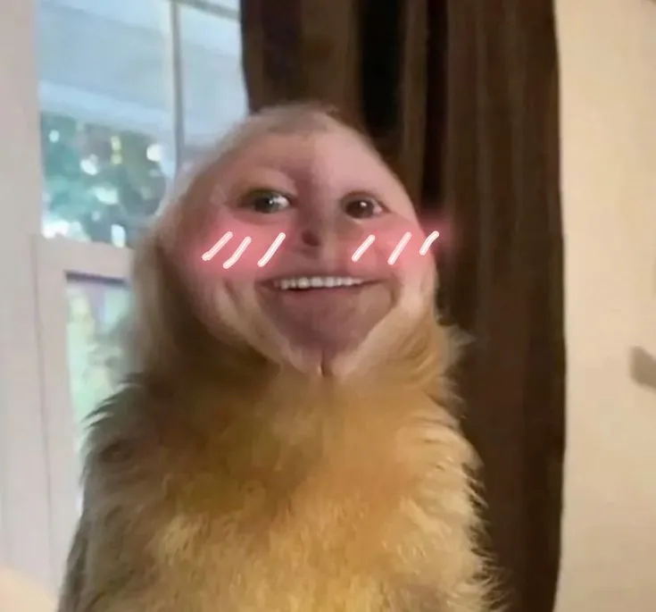 Meme ngại đỏ mặt cực duyên khiến ai bật cười