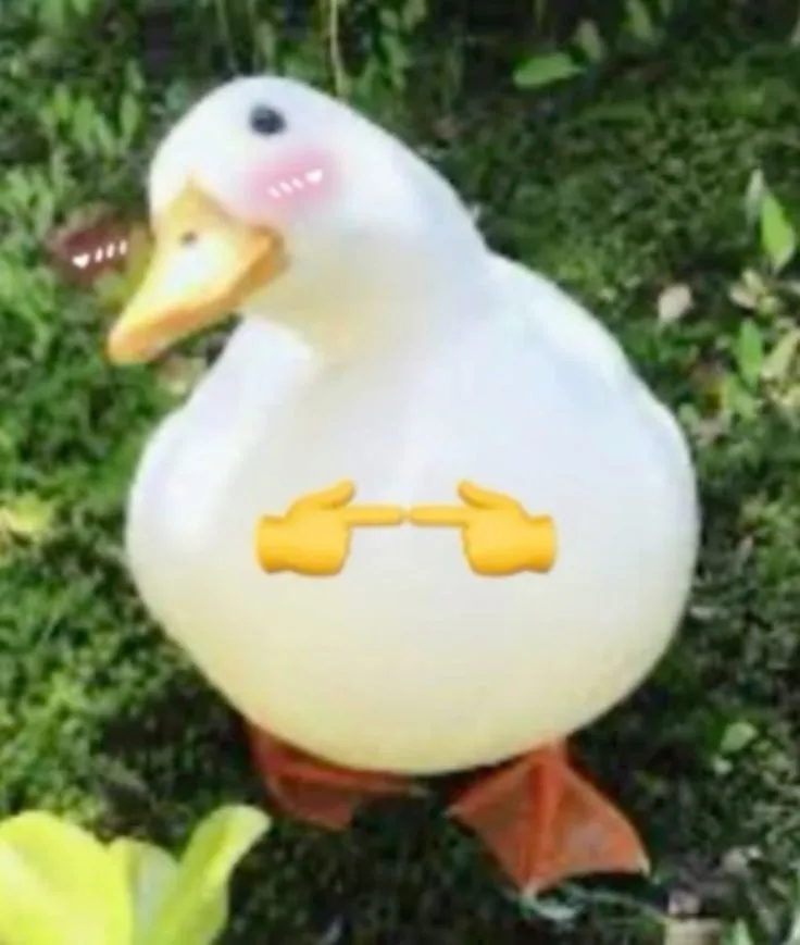 Meme gãi đầu mắc cỡ nhìn cực đáng yêu