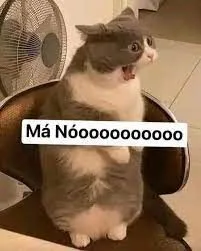 Mèo ngạc nhiên ánh mắt sáng rực, gương mặt buồn cười