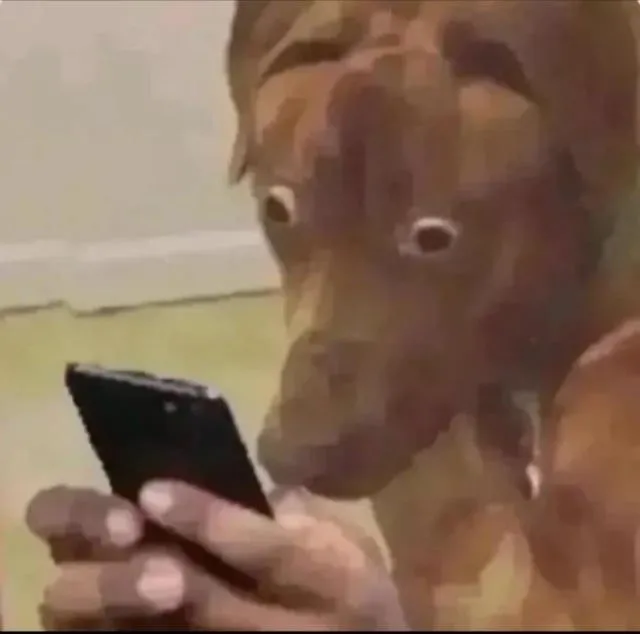 Chó há hốc mồm biểu cảm bất ngờ, gương mặt đỏ bừng