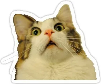 Mèo sửng sốt gương mặt đỏ bừng, ánh mắt rối loạn