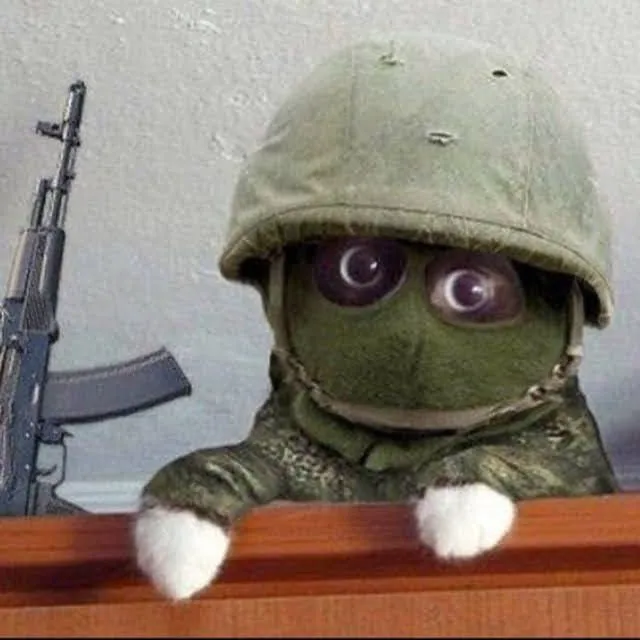 Ảnh mèo bựa cầm súng khuôn mặt lạnh lùng buồn cười