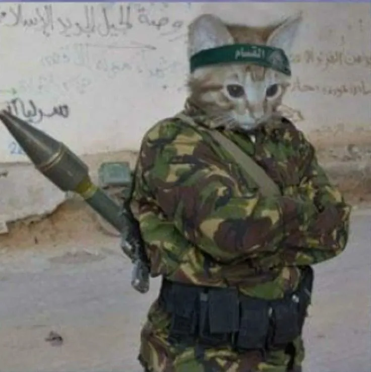 Meme mèo cầm súng ánh mắt hung hăng cực ngầu