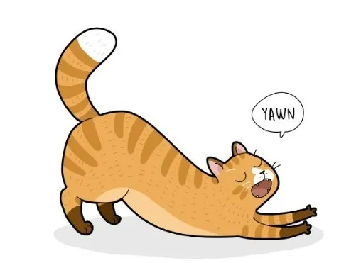 Vẻ mặt mèo lờ đờ, gương mặt ngái ngủ cực cute.