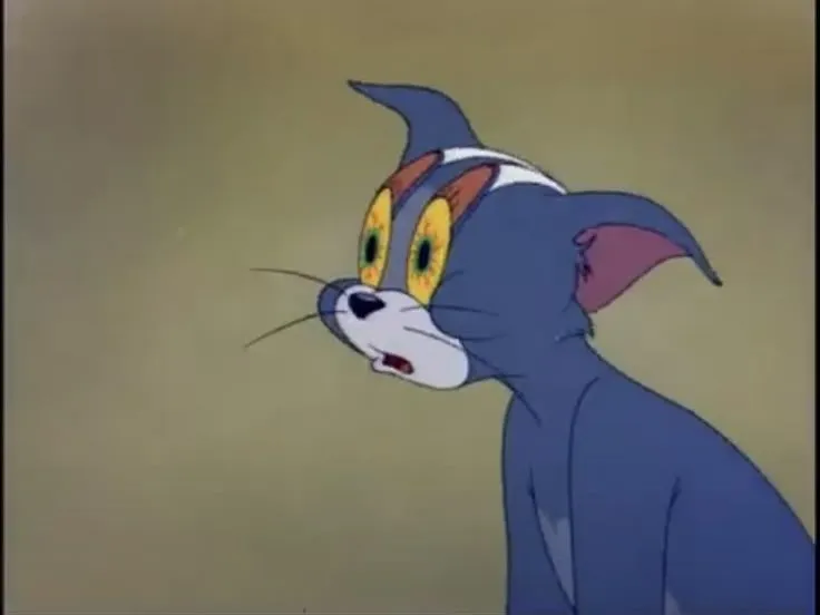 Biểu cảm mèo Tom ngáp dài, ánh mắt mơ màng cực dễ thương.