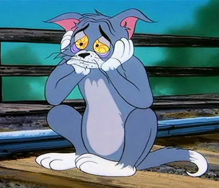 Mèo Tom ngáp dài buồn ngủ, đôi mắt lờ đờ dễ thương.