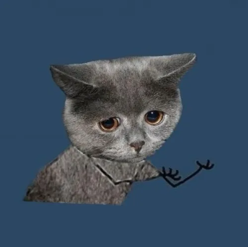 Mèo lặng lẽ thở dài nhẹ lòng chạnh thương