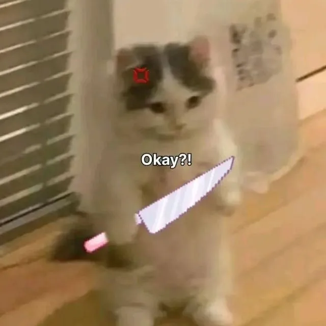 Gương mặt mèo dữ tợn, ánh mắt sắc bén rình rập.