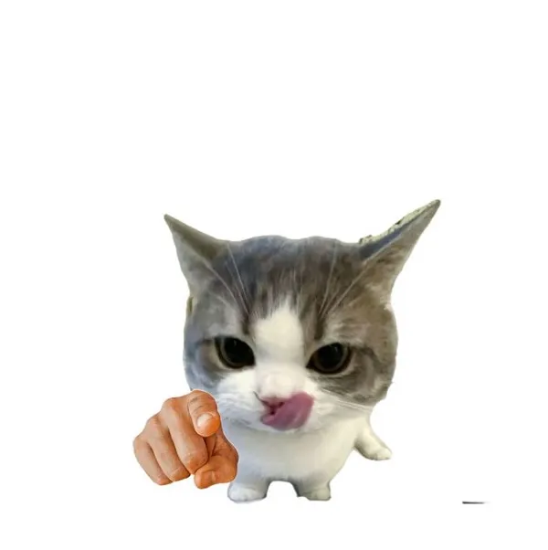 Meme mèo chỉ tay vào màn hình ngộ nghĩnh lan truyền nhanh