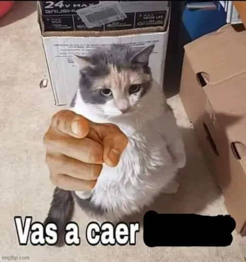 Meme con mèo chỉ tay cười đểu cực buồn cười