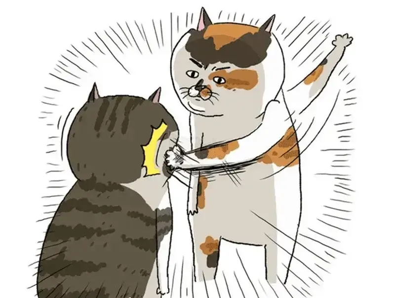 Con mèo chibi solo nhau với ánh mắt sắc bén.