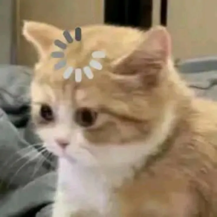 Hình chế mèo hoảng hốt ánh mắt sáng rực, cực troll