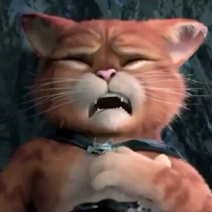 Meme mèo sợ hãi, ánh mắt lo âu tròn xoe buồn cười