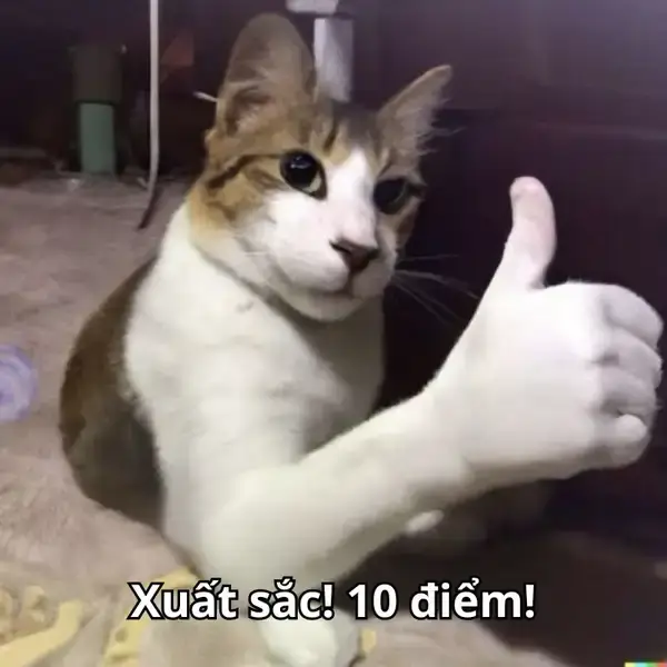 Biểu cảm mèo vui vẻ, giơ ngón cái thể hiện sự khen ngợi.