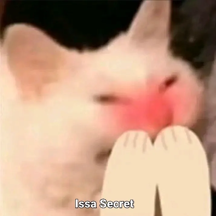 Biểu cảm mèo mắc cỡ hài hước cực vui