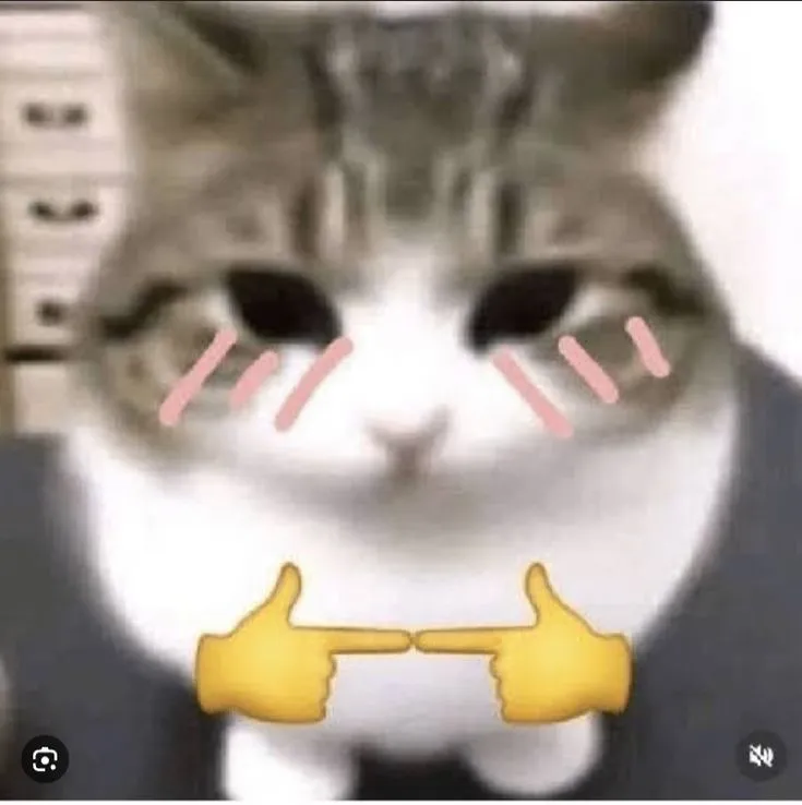 Meme mèo ngại ngùng đỏ mặt lan truyền cực nhanh