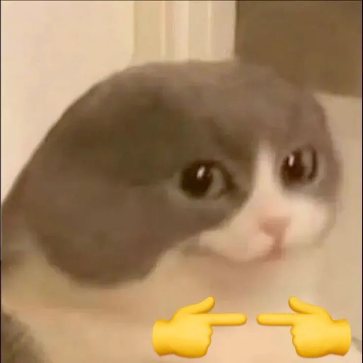 Meme mèo đỏ mặt dễ thương không chịu nổi