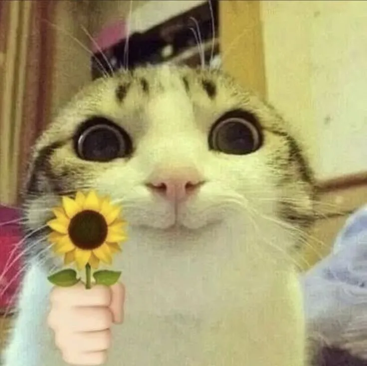 Ảnh mèo cute, tặng hoa với gương mặt rạng rỡ.