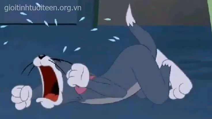 Ảnh Tom khóc dở mếu dở nhìn vừa thương vừa buồn cười.