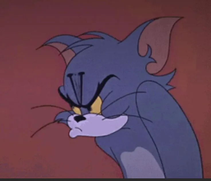 Meme mèo Tom tức giận dữ dội như bão tố