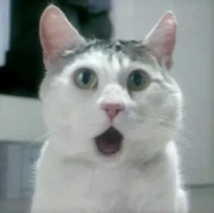 Meme giật mình há hốc mồm, dáng ngồi cực buồn cười