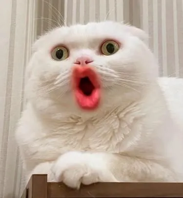 Biểu cảm giật mình gương mặt quê độ, ánh mắt cay cú