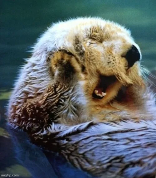 Biểu cảm che mặt mắc cỡ nhìn cực lầy