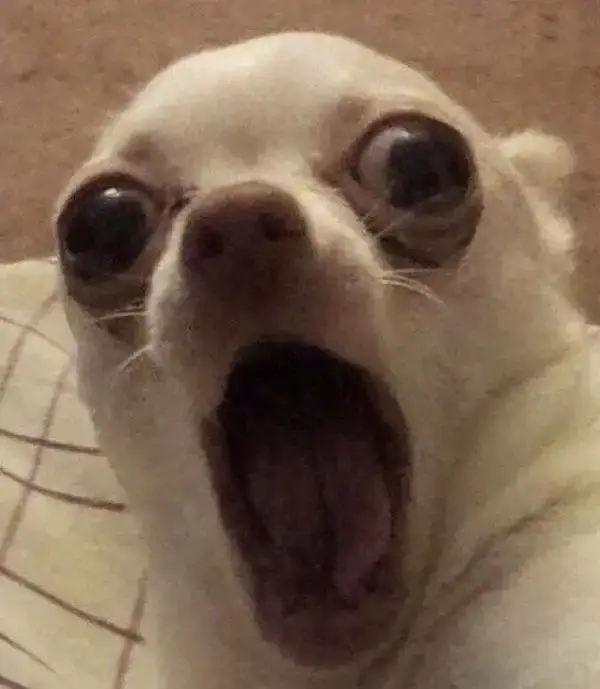 Hình ảnh ôm đầu vì shock nặng không tin nổi.