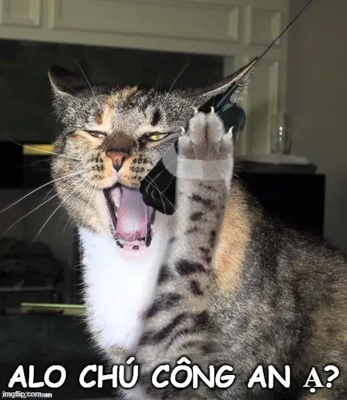 Tao báo công an ngay lập tức cực bá đạo