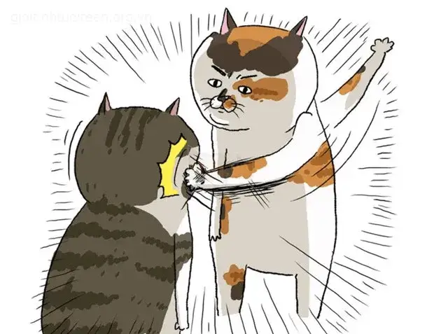 Meme mèo tát vào má nhìn cực kỳ khó nhịn cười.