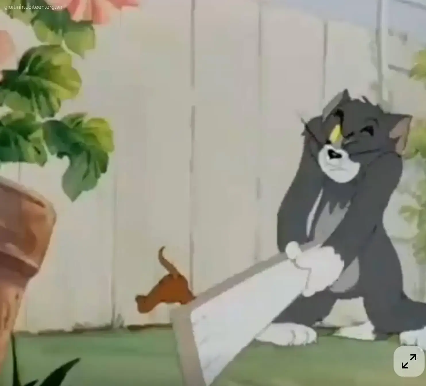 Hình tét mông cực vui, biểu cảm khó tin.